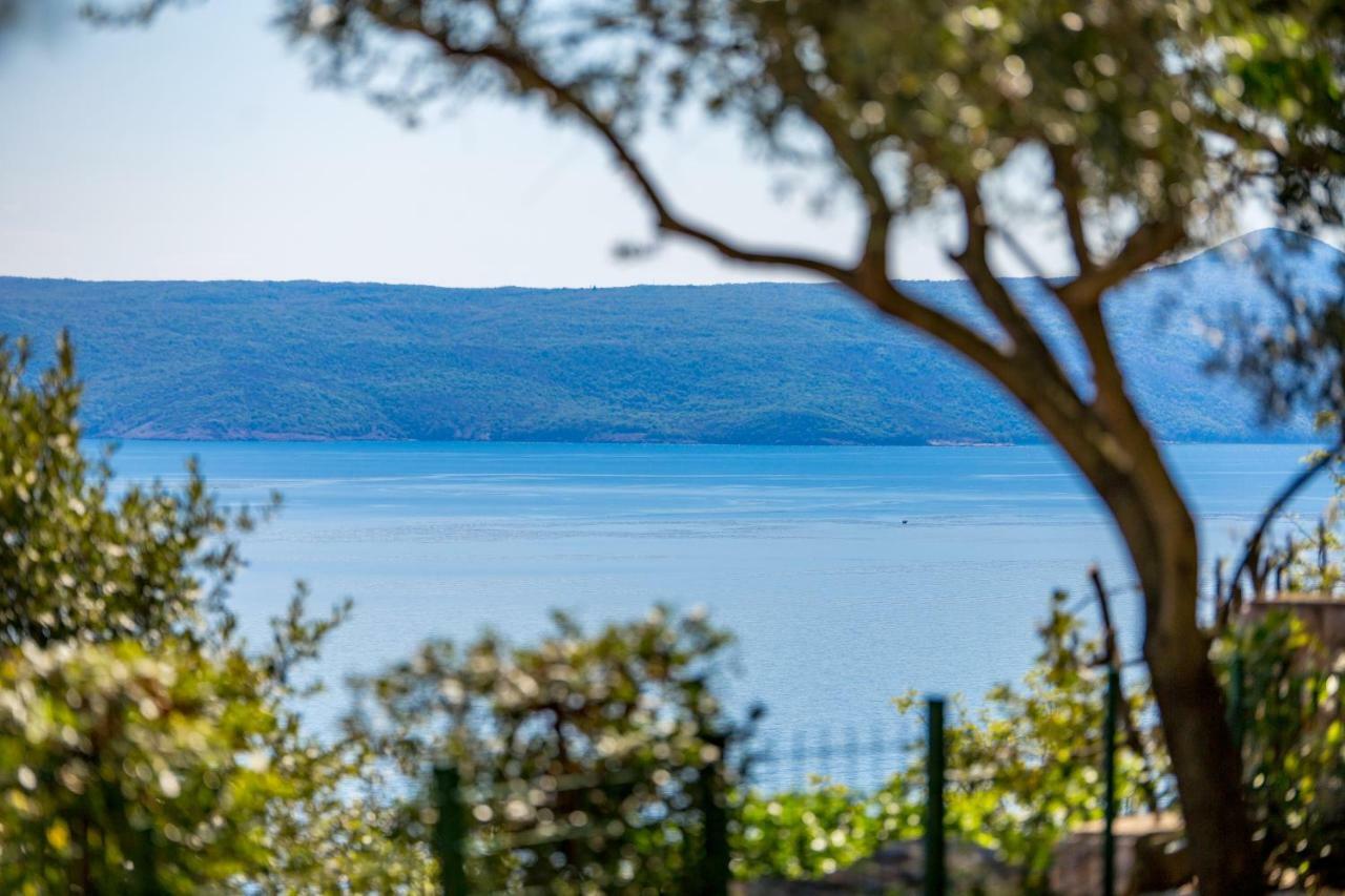 Apartments Davor Mošćenička Draga Kültér fotó